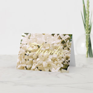 Vita Stephanotis Blommiga Tacksamtbrev Tack Kort