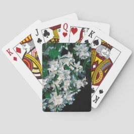 Vita stjärnor casinokort