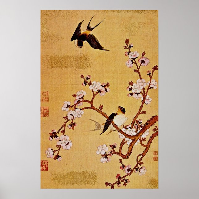 vita Sväljer och Blommar Grenar, Chiang T'in Poster (Framsidan)