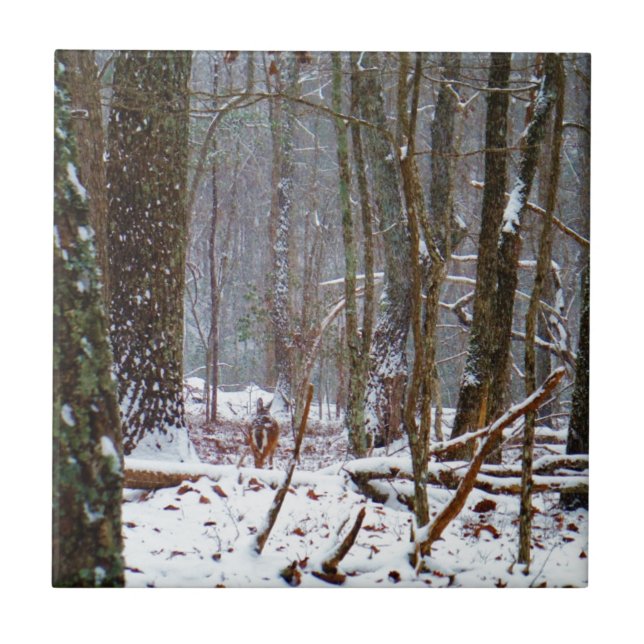 vita svan hjort i snö kakelplatta (Framsidan)