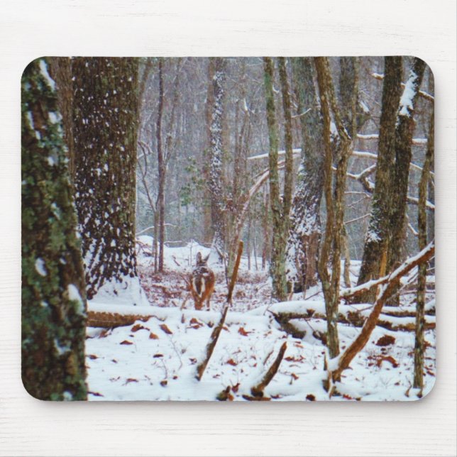 vita svan hjort i snö musmatta (Framsidan)