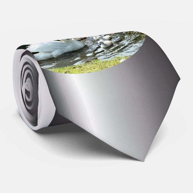 Vita Svan med Chickar Slips (Rullad)
