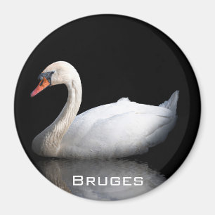 Vita svan på svart magnet