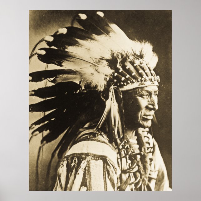 Vita Svan Sioux Chief Native American Poster (Framsidan)