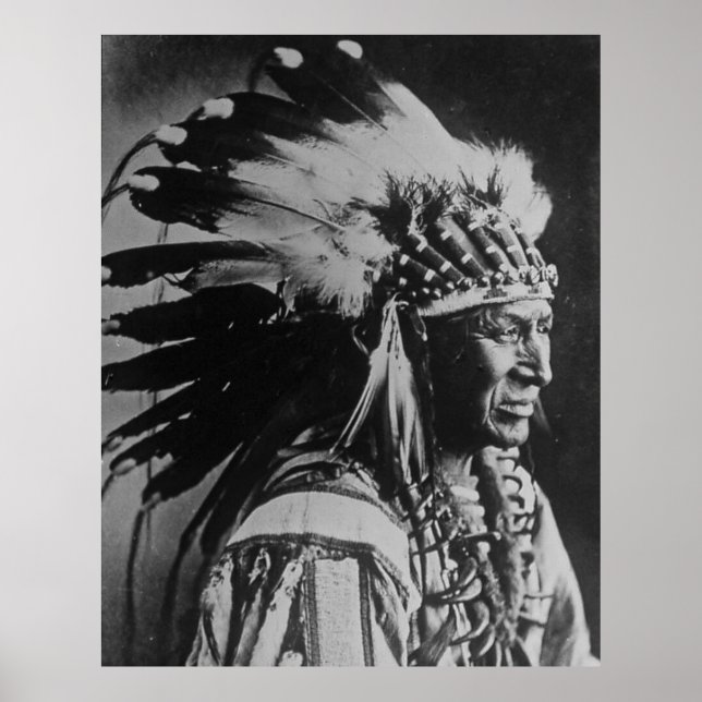 Vita Svan Sioux Chief Native American Poster (Framsidan)