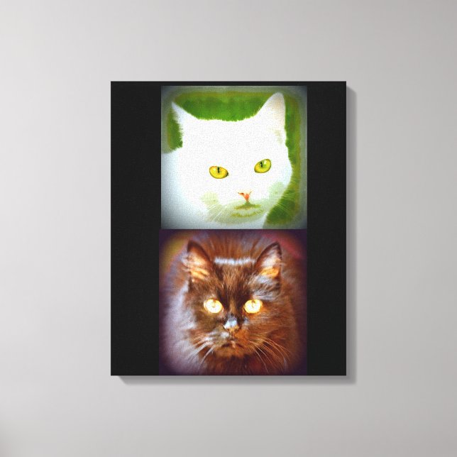 vita/svarta kittykatter canvastryck (Framsida)
