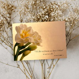 Vita Tack för difteri Kort