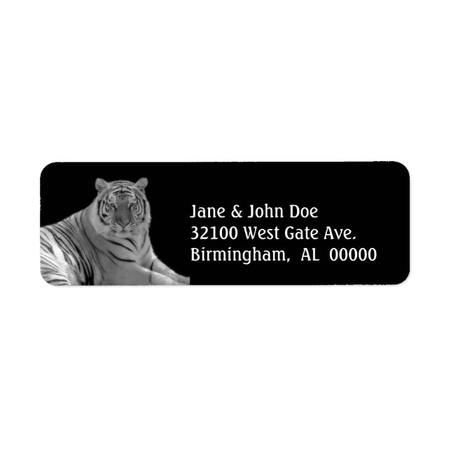 Vita tigerAdressetiketter Returadress Etikett (Framsidan)