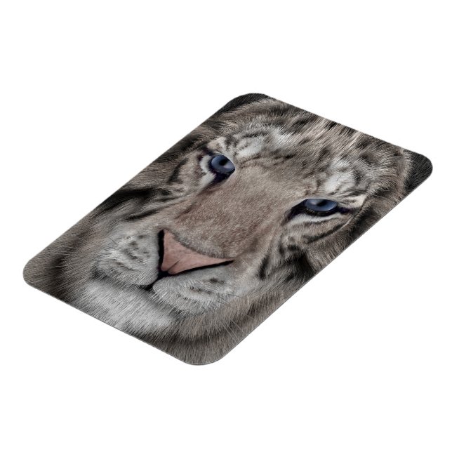 Vita Tigerhuvud Vilda Liv Estetik Magnet (Vänstra Sidan)