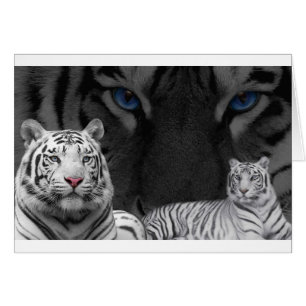 Vita Tigers Hälsningskort