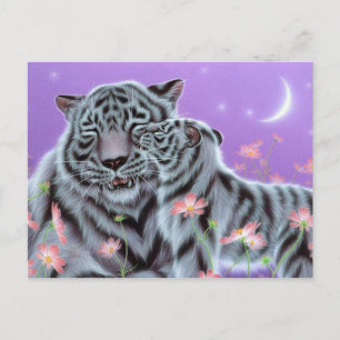 Vita Tigers Vykort