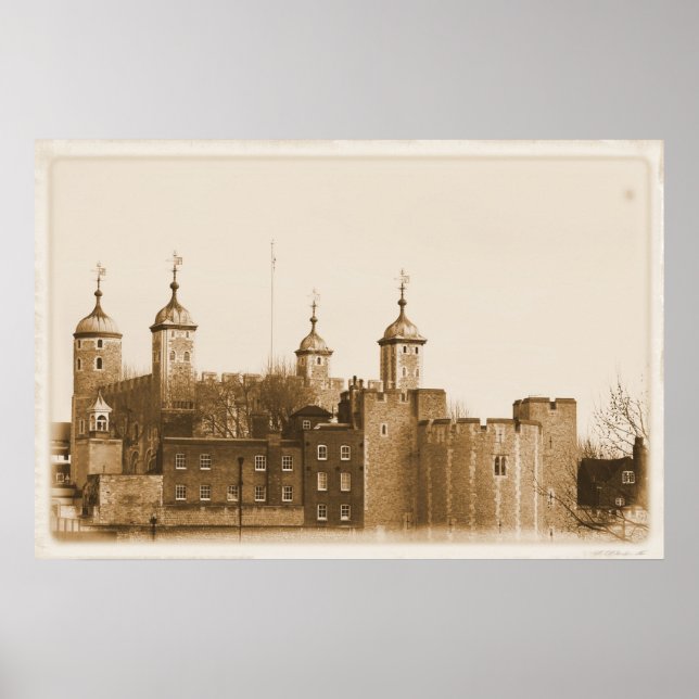 Vita Torn Poster (Framsidan)