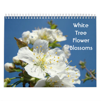 Vita Träd Blommande Blommor Kalendrar Fotografi Kalender