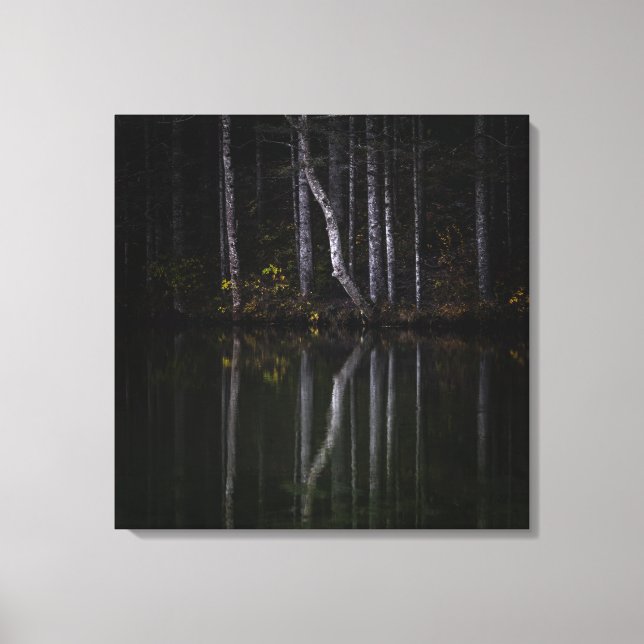 Vita träd som reflekterar i sjö canvastryck (Framsida)