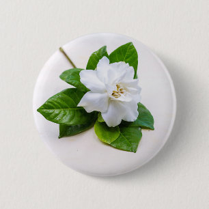 Vita trädgårdsblommor knapp