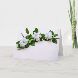 Vita trädgårdsblommor kort