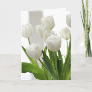 Vita tuliper kort