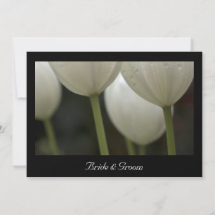Vita tulpaner Giftermål / Elopement Announement Meddelande