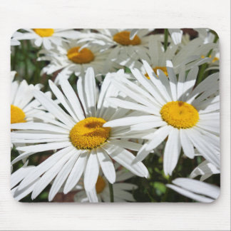 Vita tusenskönor blommor musmattor julpresent Mamm