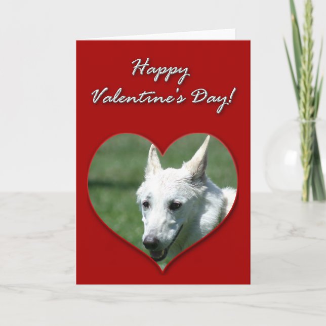 Vita tyska Shepherd Valentines day Card Helgkort (Framsida)