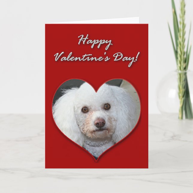 Vita Valentines day-kortet Pudel Helgkort (Framsida)