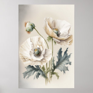 Vita vallmoblommor konsttryck poster