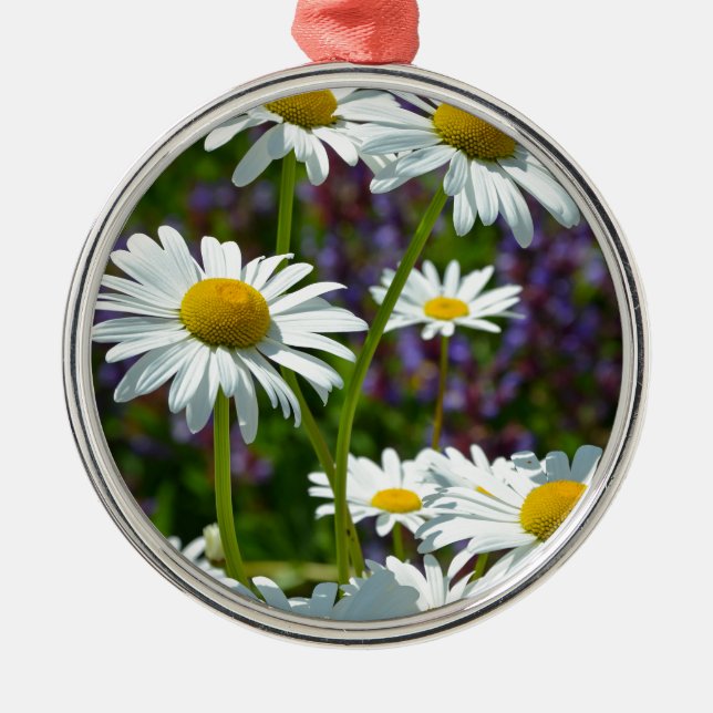 Vita vår-daisy i blomning julgransprydnad metall (Framsidan)