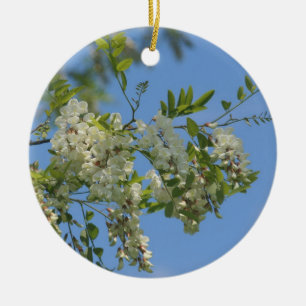 Vita Vår Locust-Blommar Flower Ornament