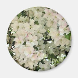 Vita vårblommor Fotografering av blommor Magnet