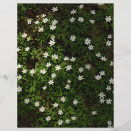 Vita vårblommor i skogsmarker Scrapbookpapper