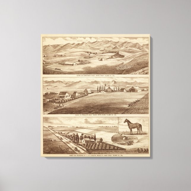 Vita Vatten, Saucelitorancher Canvastryck (Framsida)