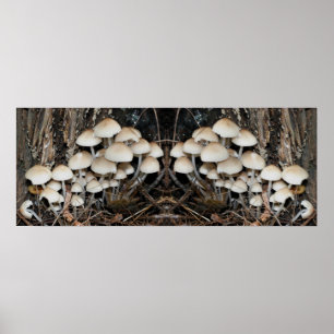 Vita Vilden Mushroom Cluster Spegel Abstrakt Poster