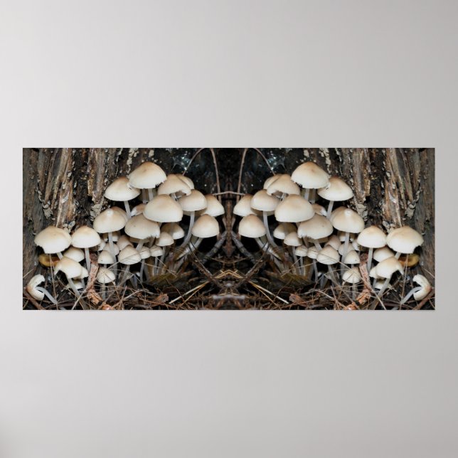 Vita Vilden Mushroom Cluster Spegel Abstrakt Poster (Framsidan)