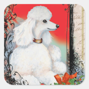 Vita Vintagen Pudel Stil Stickers Märkre Fyrkantigt Klistermärke