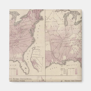 Vital Statistics, United Stater Census Magnet