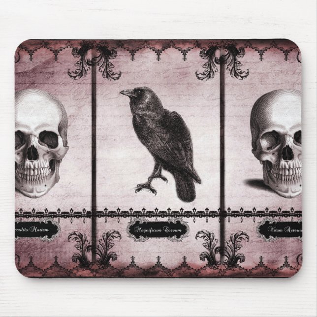 Vitam Aeternam Musmatta (Framsidan)