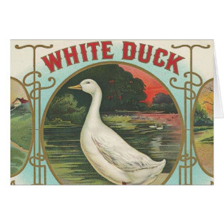 Vitanka Hälsningskort