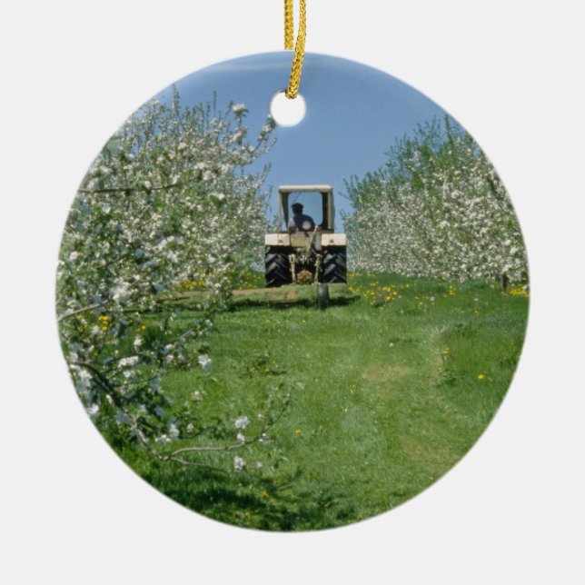 vitApple fruktträdgård som odlar, Nova Scotia Julgransprydnad Keramik (Framsidan)