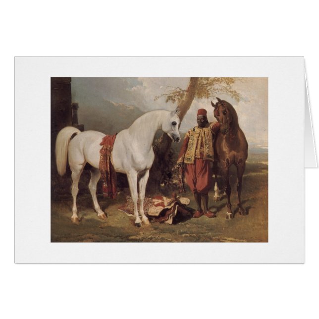 Vitarab Hälsningskort (Framsidan Horizontal)