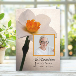 Vitavodil Vår-begravning, vikt Program