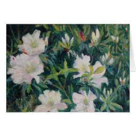 "VitAzaleas ", OBS Kort