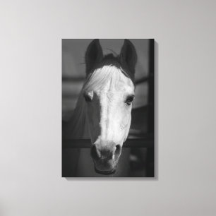 VITBEAUTY 16 x 24 Canvastryck