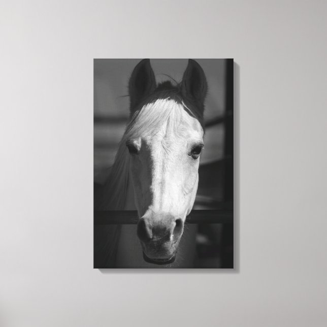 VITBEAUTY 16 x 24 Canvastryck (Framsida)