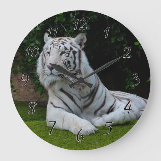 VitBengal tiger Stor Klocka