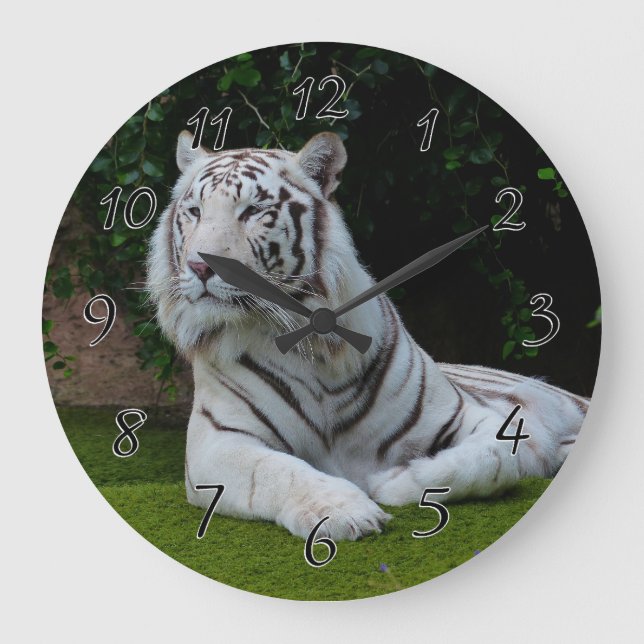 VitBengal tiger Stor Klocka (Framsida)