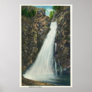 Vitbergnationalskog Poster