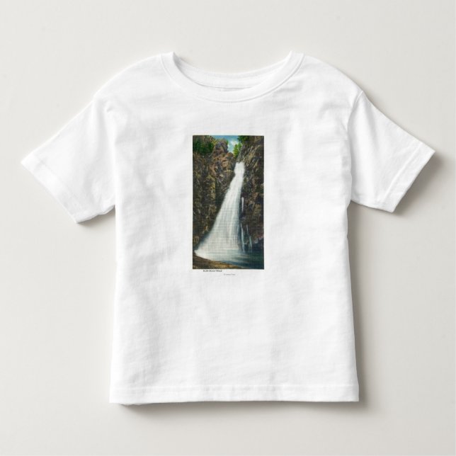 Vitbergnationalskog Tee Shirt (Framsida)