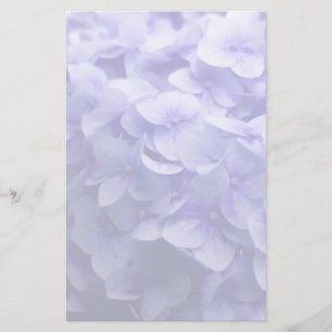 Vitblomma från Hydrangea Brevpapper