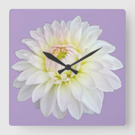 Vitblomma och rosa fyrkantig klocka
