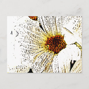 Vitblomma Vykort